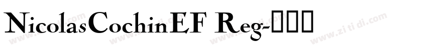 NicolasCochinEF Reg字体转换